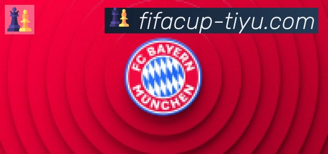 FIFA世界杯赛事官方网站合作伙伴
