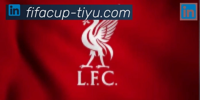 FIFA世界杯赛事官方网站合作伙伴